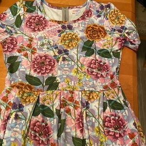 LulaRoe Dress